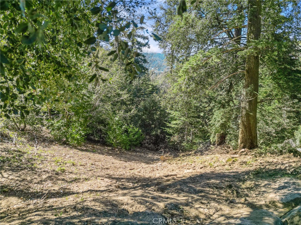 0 Chateau Property Photo 1