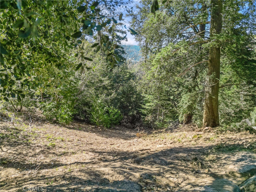 0 Chateau Property Photo 1