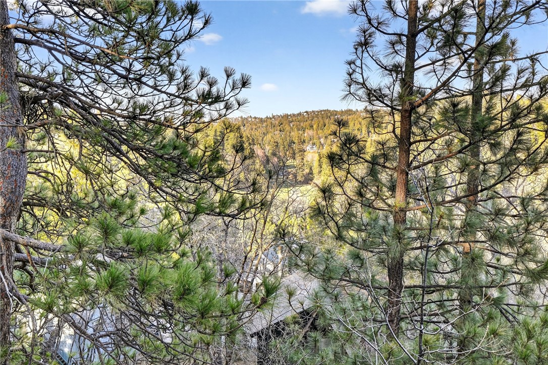 26633 Thunderbird Property Photo 53