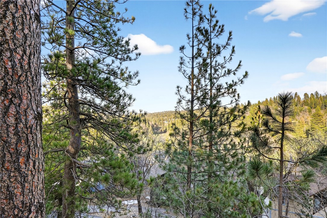26633 Thunderbird Property Photo 54
