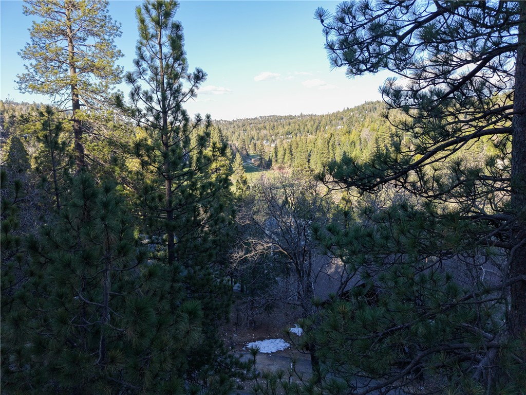 26633 Thunderbird Property Photo 55