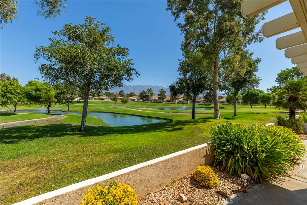 4956 Rolling Hills Avenue Property Photo 19