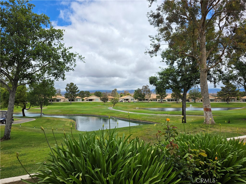 4956 Rolling Hills Avenue Property Photo 41