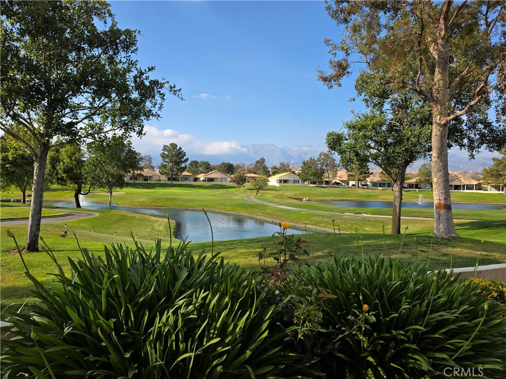 4956 Rolling Hills Avenue Property Photo 44