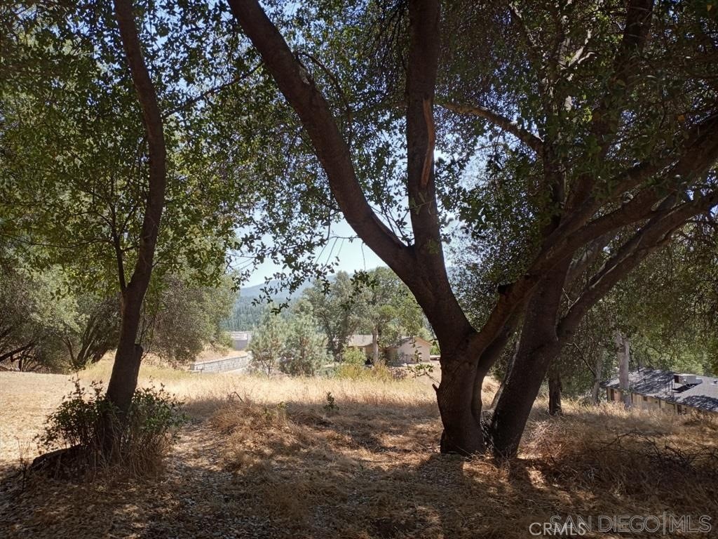 0 Live Oak Drive Property Photo 1