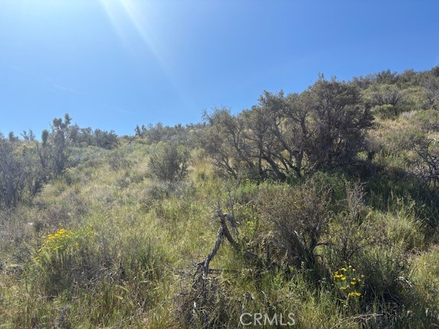 0 None Property Photo 2