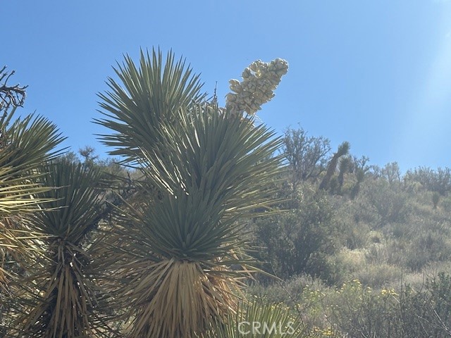 0 None Property Photo 3
