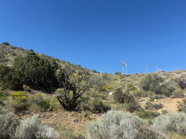 0 None Property Photo 7