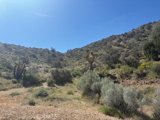 0 None Property Photo 8