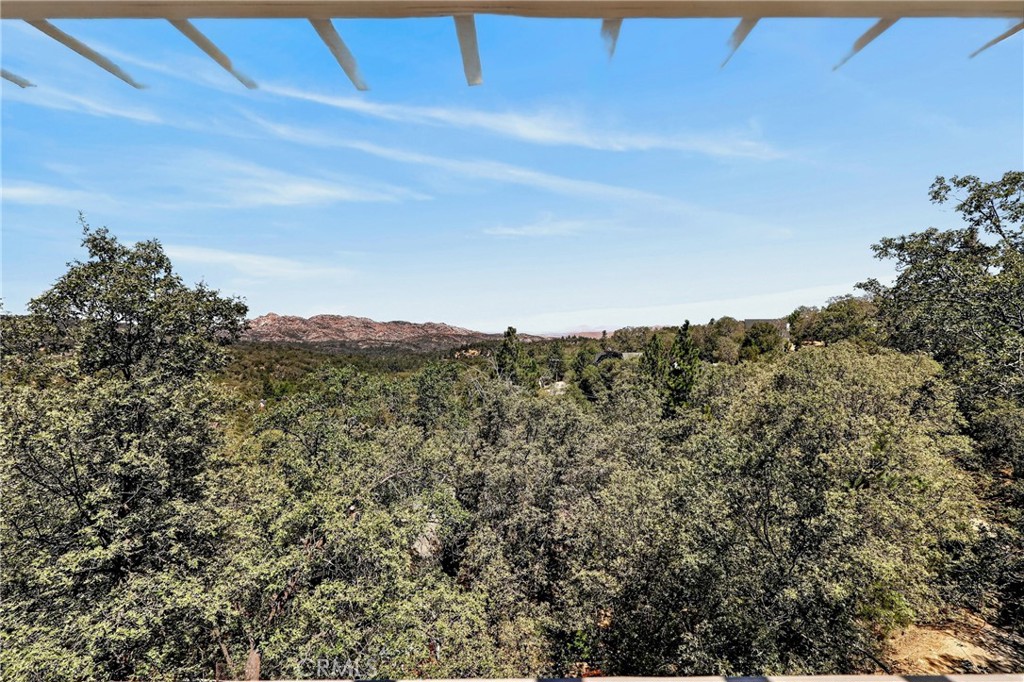 28738 Bryce Drive Property Photo 52