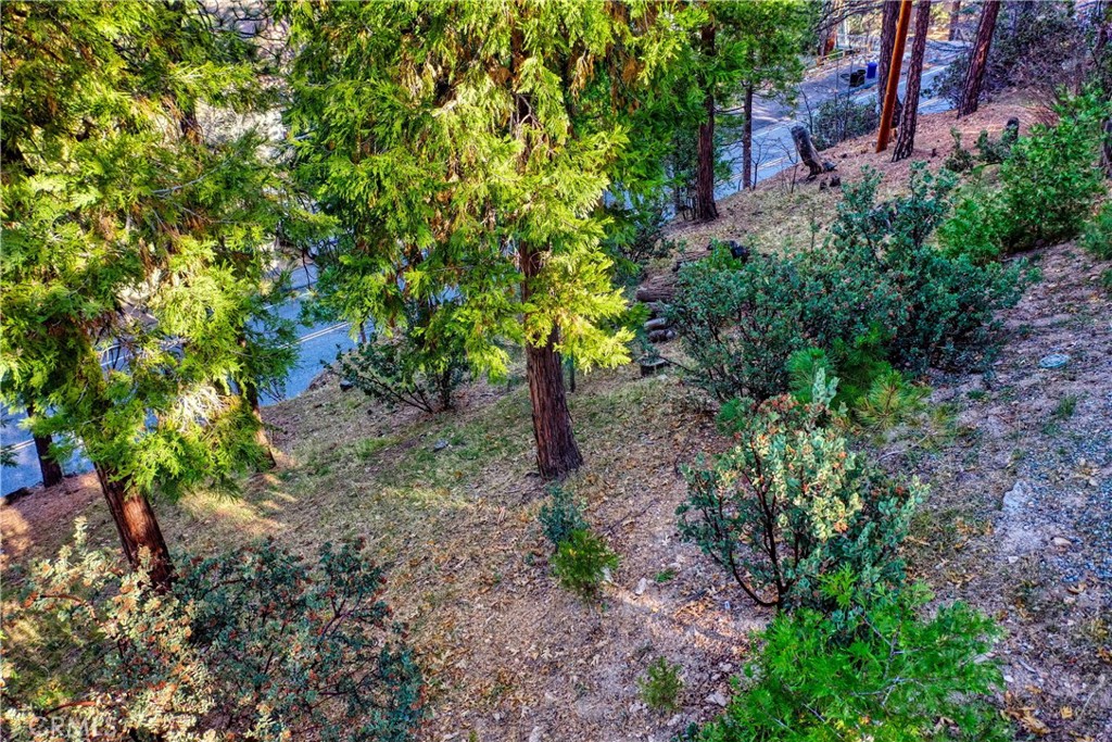 863 Grass Valley Property Photo 31
