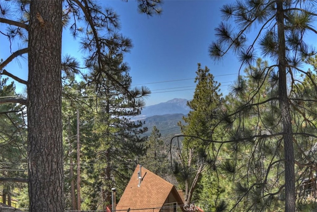 30573 Live Oak Property Photo 9