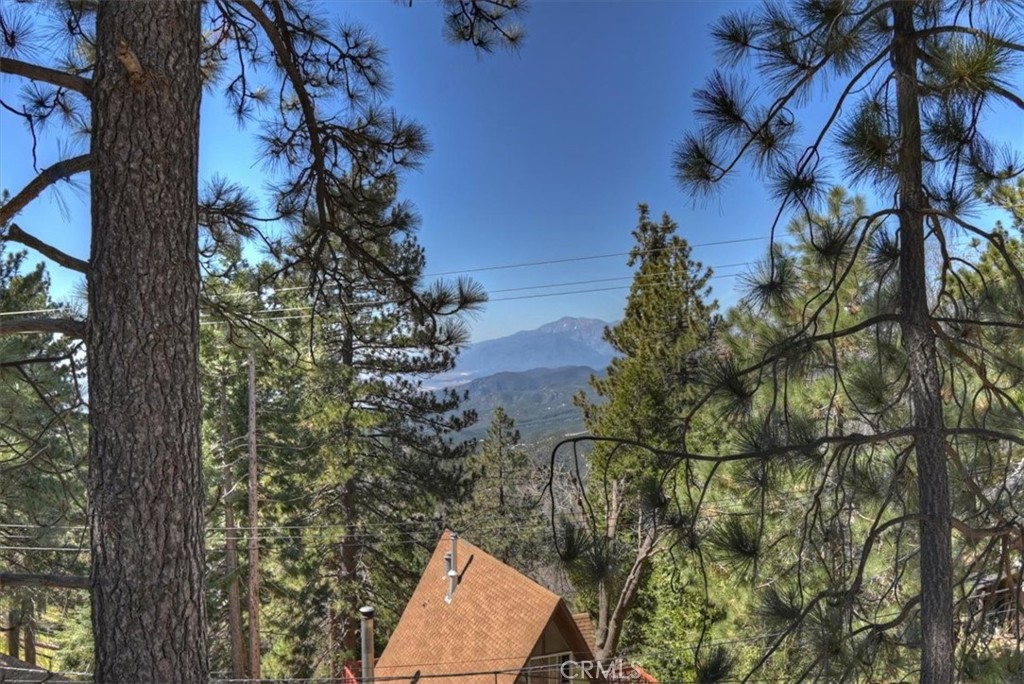 30573 Live Oak Property Photo 9