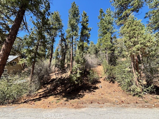 0 E Rainbow Boulevard Property Photo 1