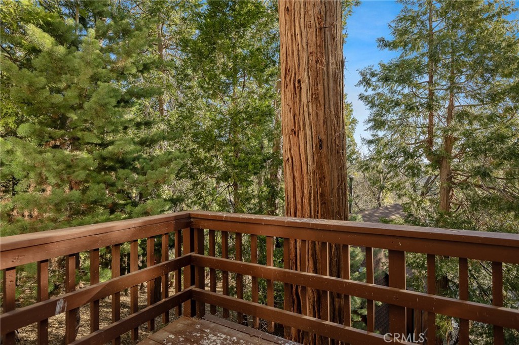831 Nadelhorn Property Photo 29