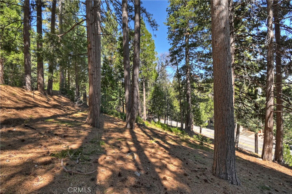 170 Fairway Property Photo 24