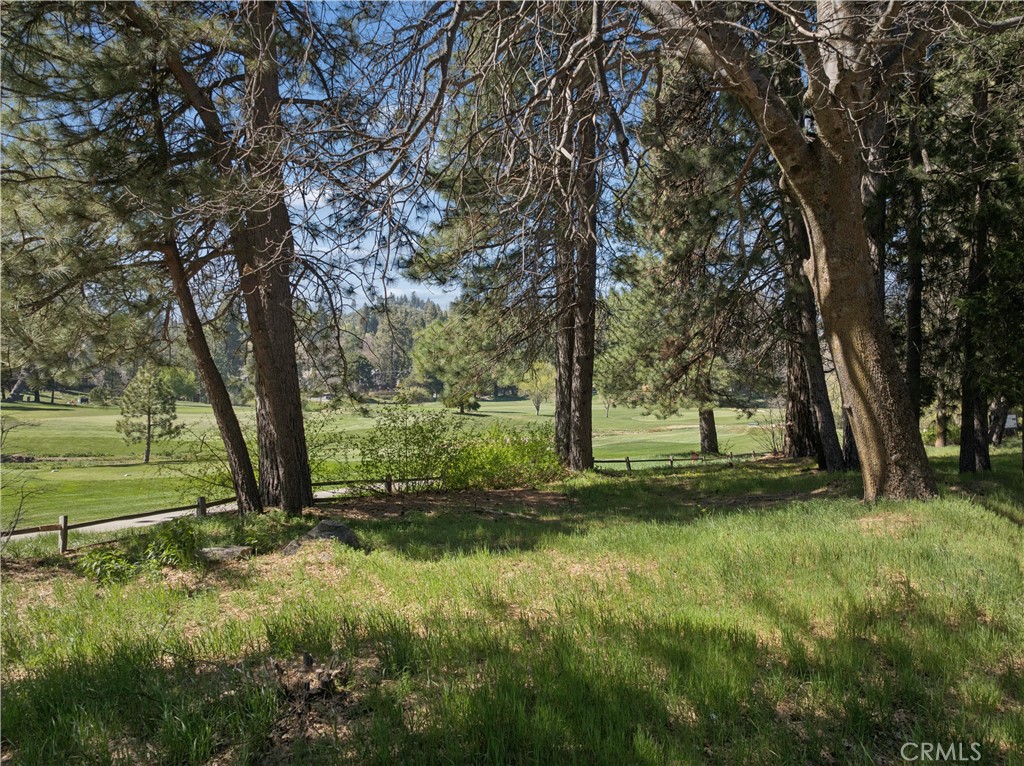 0 Grass Valley Property Photo 7
