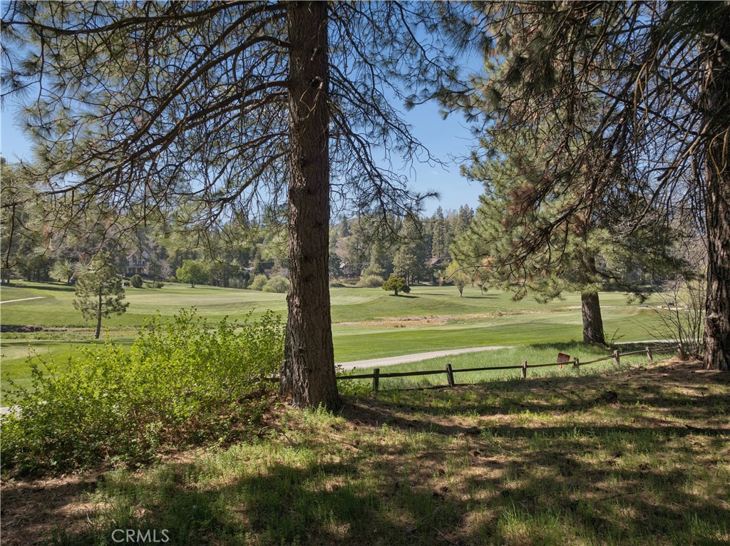 0 Grass Valley Property Photo 8