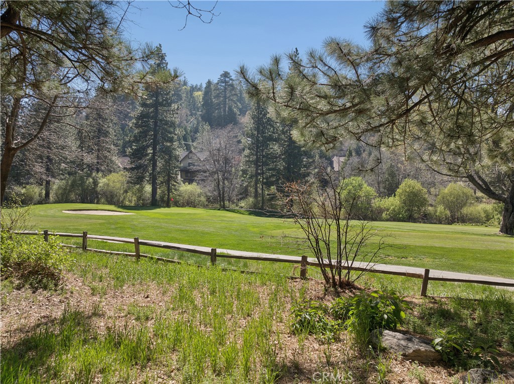 0 Grass Valley Property Photo 9