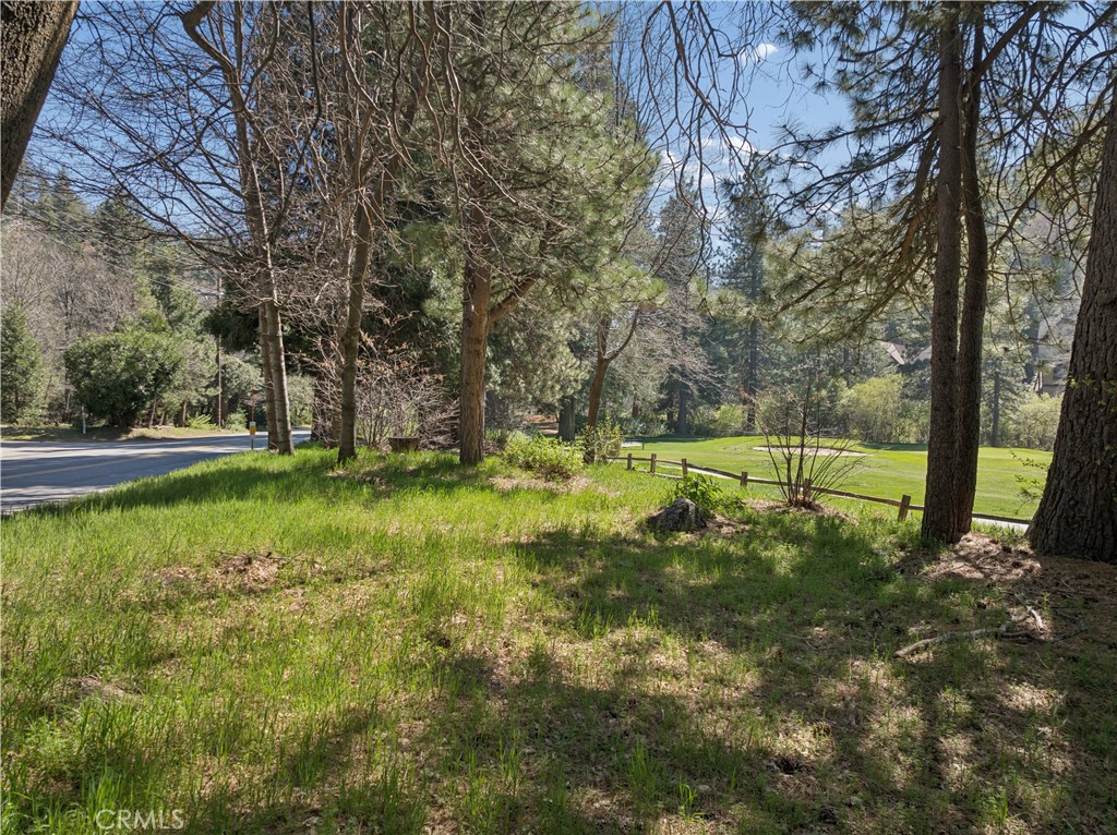 0 Grass Valley Property Photo 11
