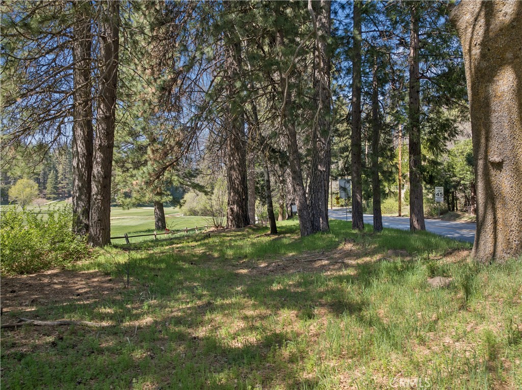 0 Grass Valley Property Photo 12