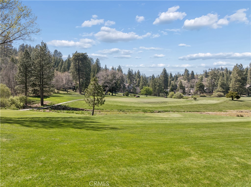 0 Grass Valley Property Photo 15