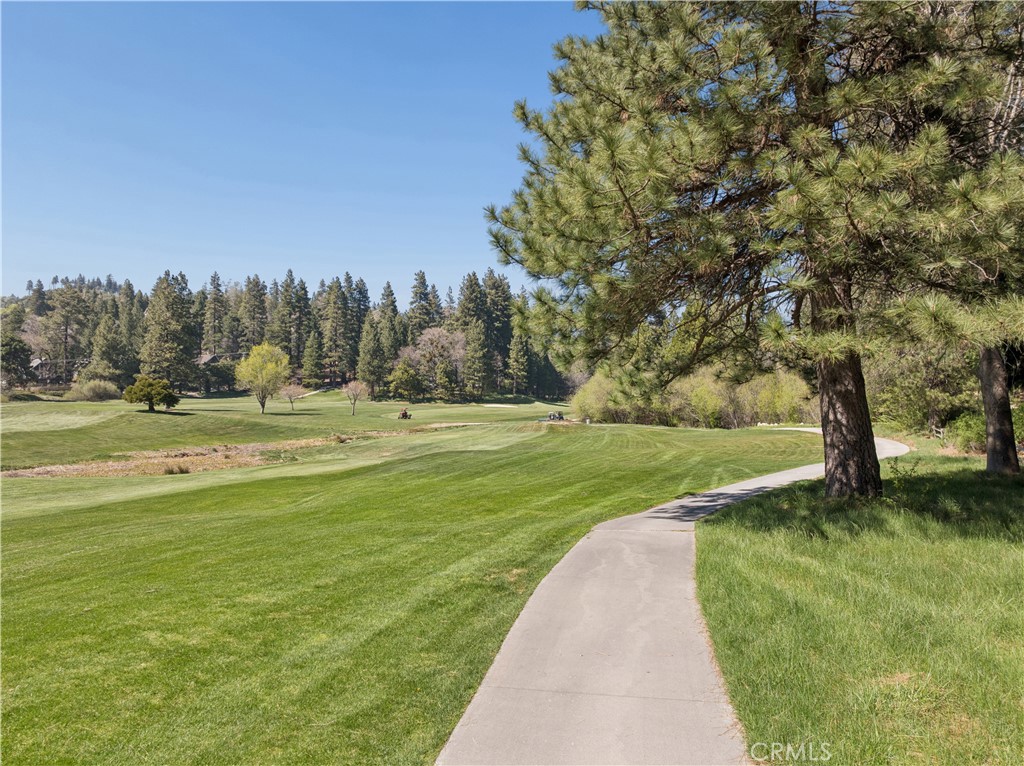 0 Grass Valley Property Photo 17