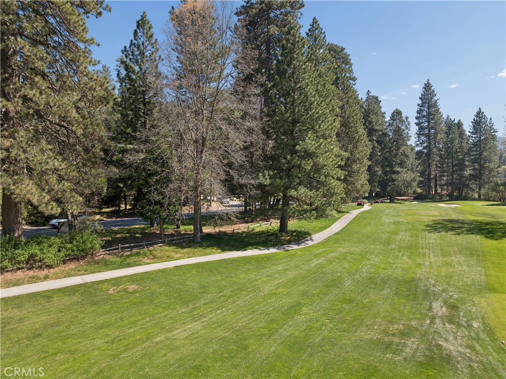 0 Grass Valley Property Photo 19