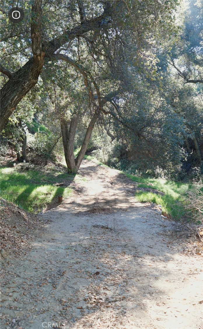 0 Mountain View Property Photo 2