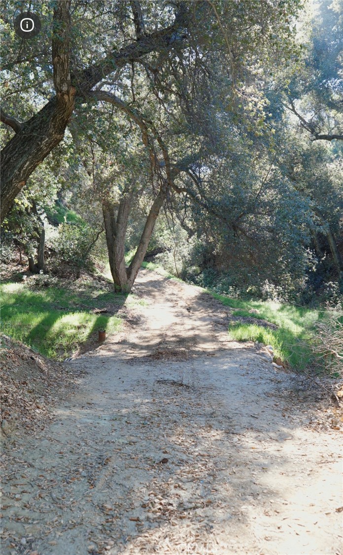 0 Mountain View Property Photo 3