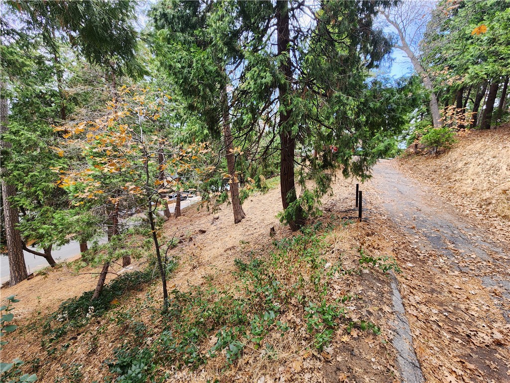 24397 Horst Drive Property Photo 1