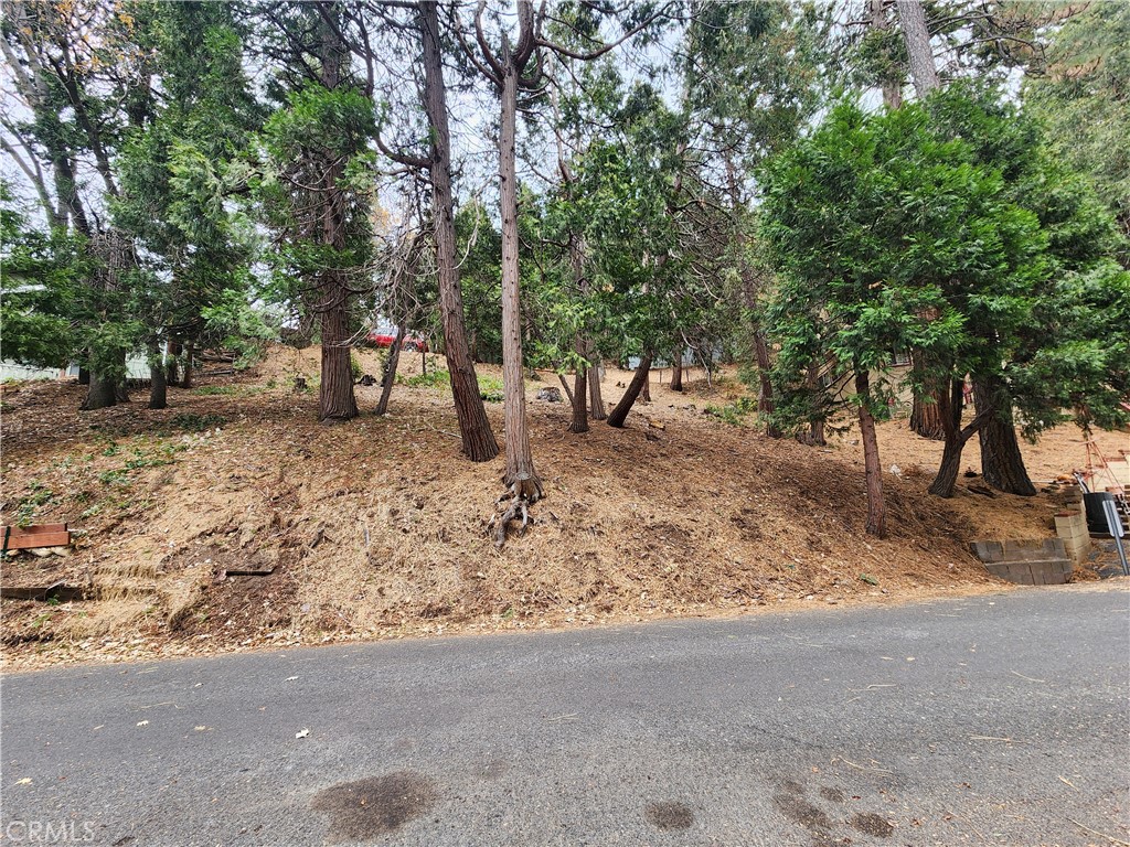 24397 Horst Drive Property Photo 7