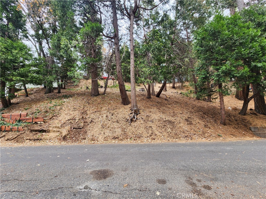 24397 Horst Drive Property Photo 9