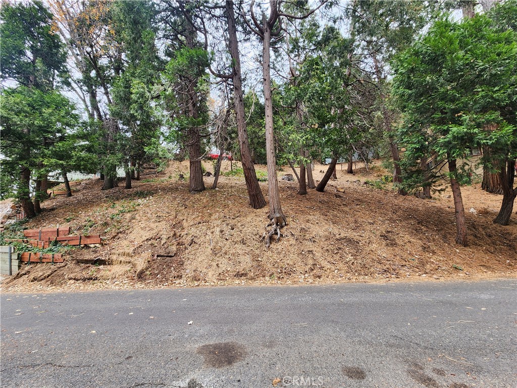 24397 Horst Drive Property Photo 10