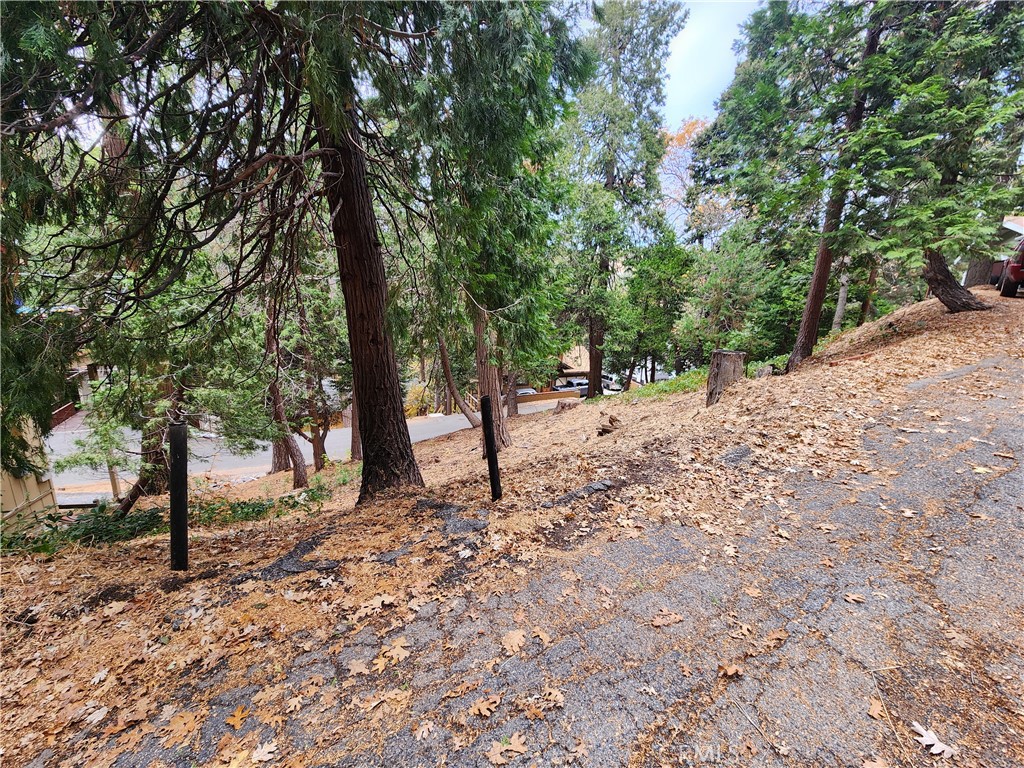 24397 Horst Drive Property Photo 11