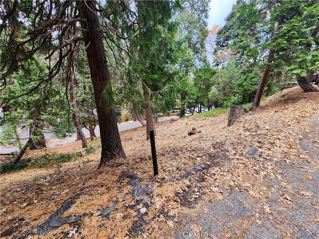24397 Horst Drive Property Photo 12