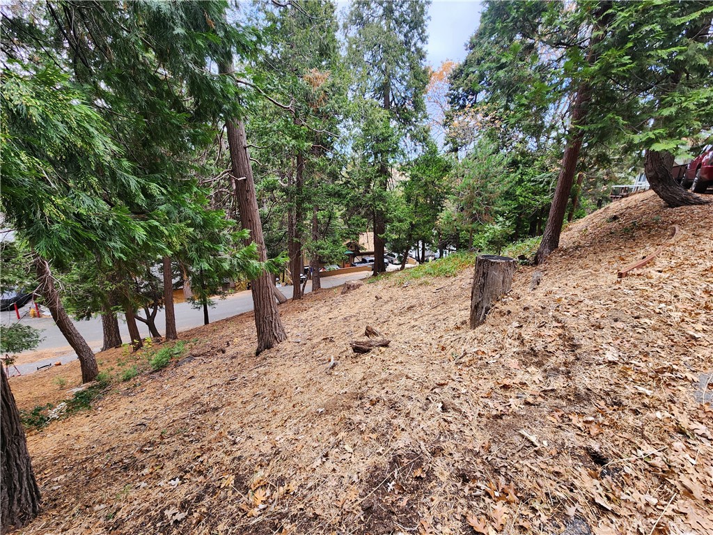 24397 Horst Drive Property Photo 13