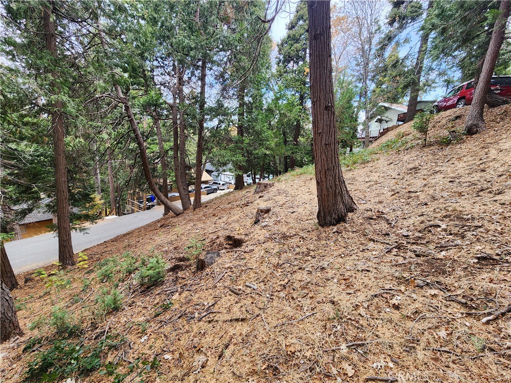 24397 Horst Drive Property Photo 14