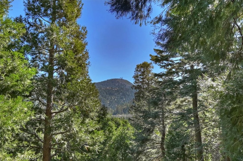 24607 Altdorf Drive Property Photo 33