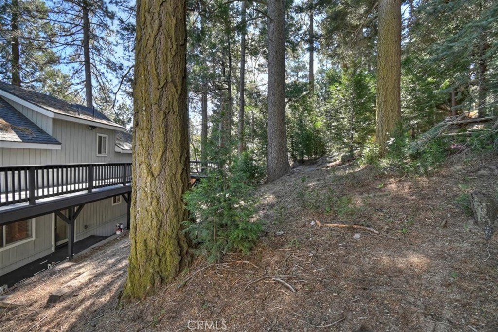 24607 Altdorf Drive Property Photo 35