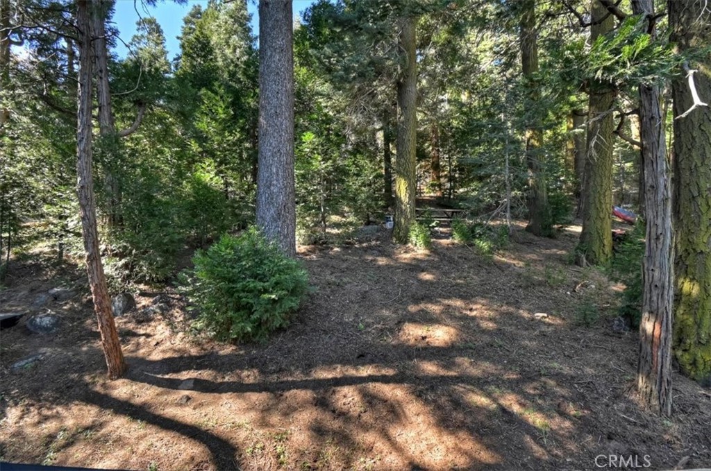 24607 Altdorf Drive Property Photo 37