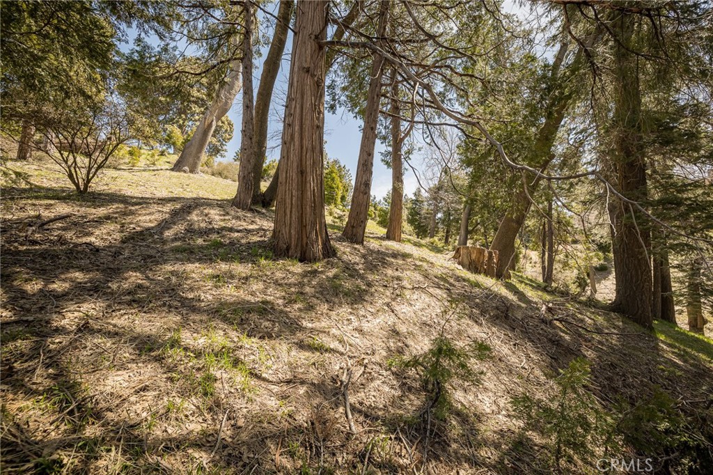 226 Hidden Forest Road Property Photo 13