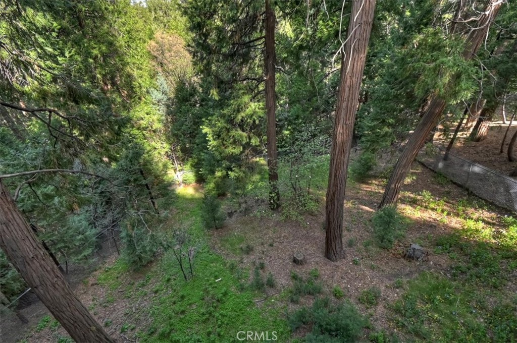 24048 Altdorf Drive Property Photo 39