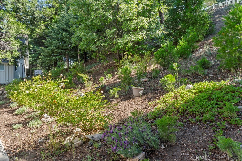 197 Massive Road Property Photo 64