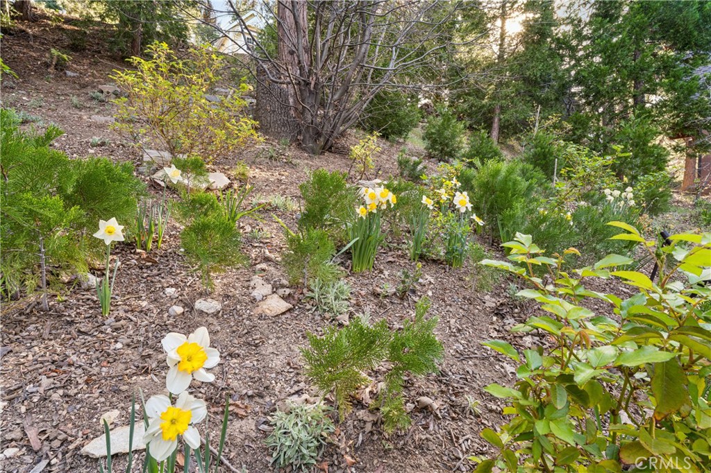 197 Massive Road Property Photo 65