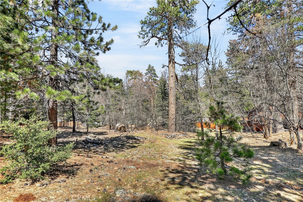 0 Cepu Road Property Photo 16