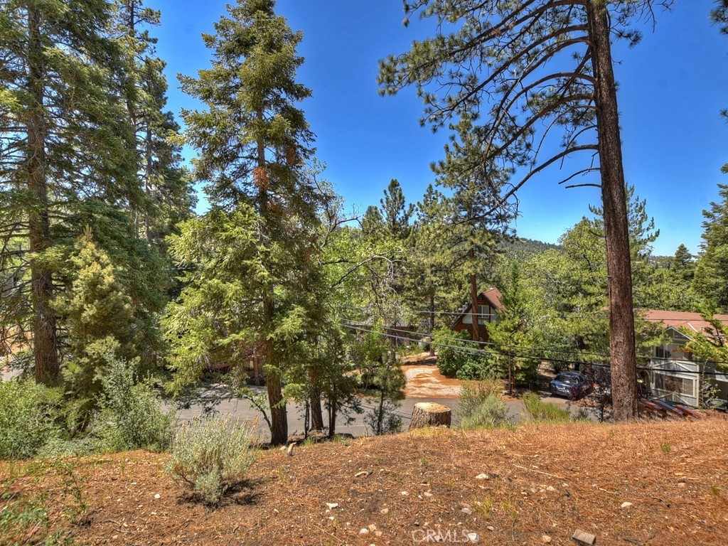 43218 Sunset Drive Property Photo 4