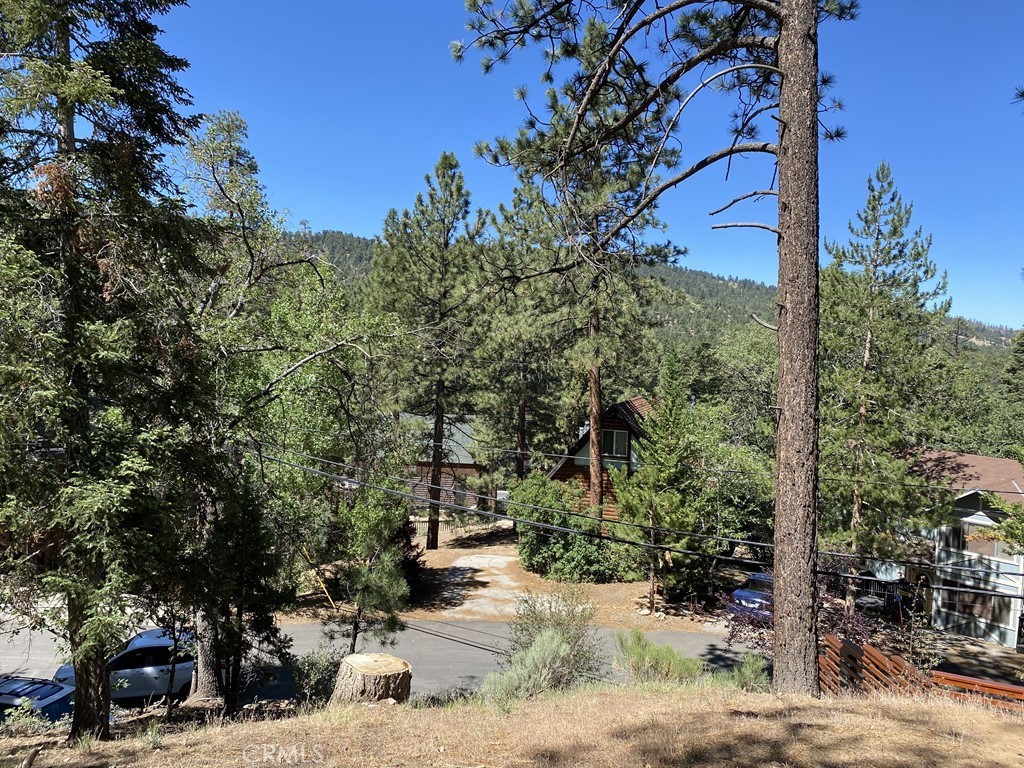 43218 Sunset Drive Property Photo 8