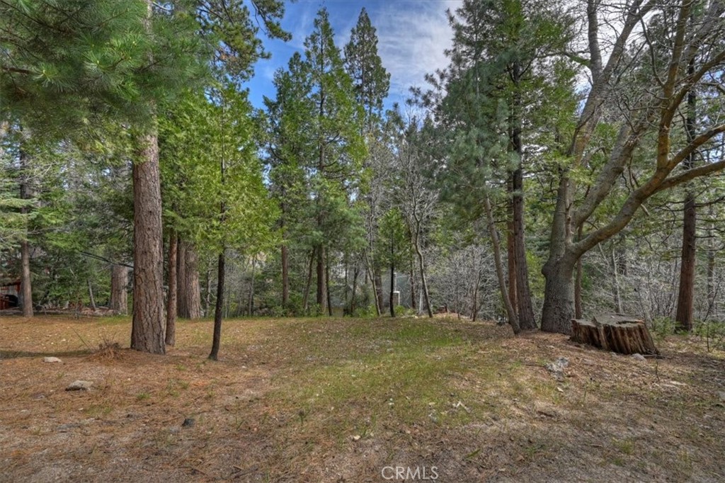 27297 Little Bear Property Photo 8