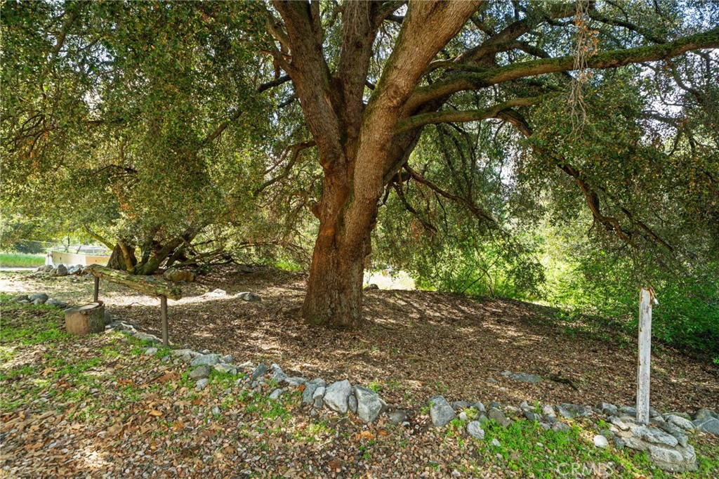 39804 Pine Bench Property Photo 40